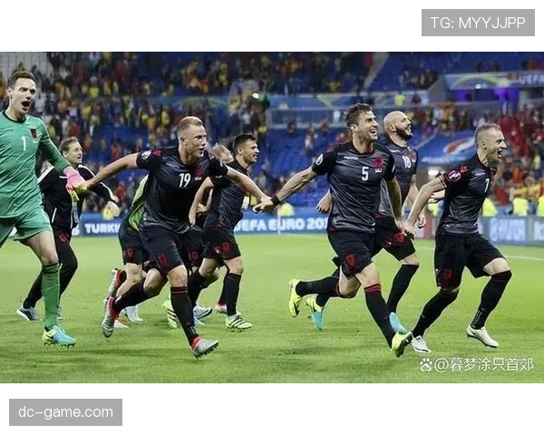奥地利队时隔38年重返欧洲杯八强创历史